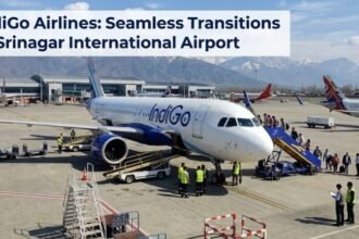 IndiGo Flight Hits VDGS Pole While Parking at Srinagar Airport