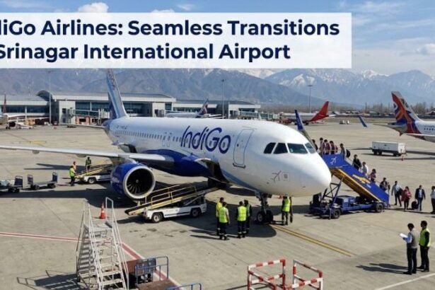 IndiGo Flight Hits VDGS Pole While Parking at Srinagar Airport