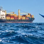 Somali Piracy Escalates as Five Tanker Crew Members Are Killed